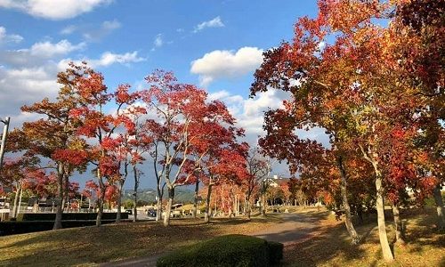 もうすぐ完成です!!見学会開催します♪